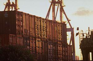 エクソーム解析の相談をするなら