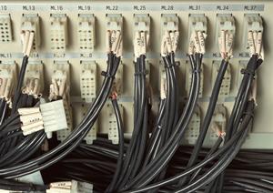 安全性と信用性のあるシーズニング開発